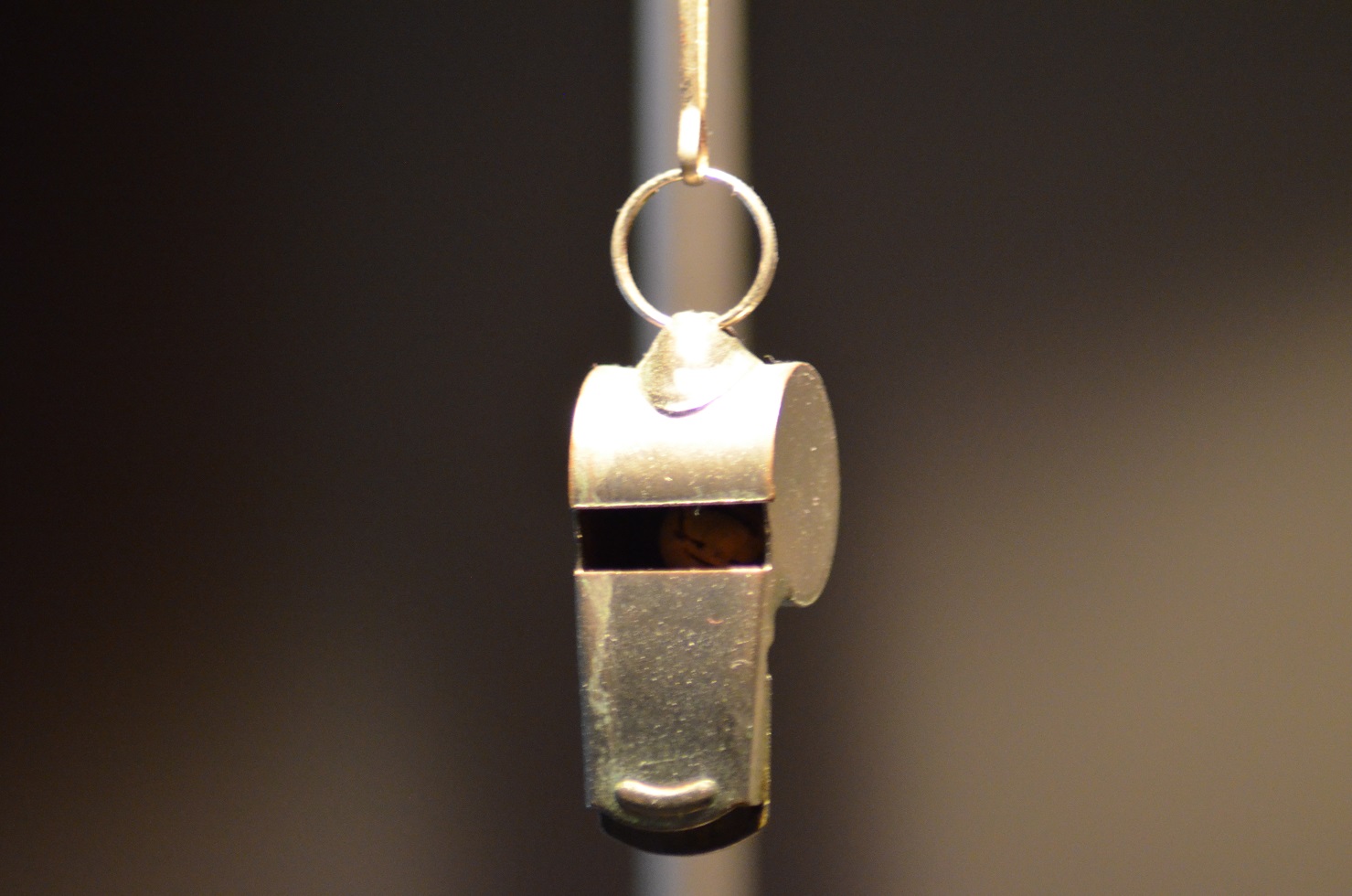 No s'ha trobat l'arxiu